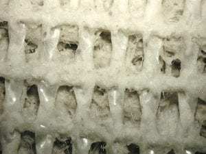 抗菌地毯的好处