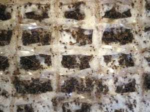 未经抗菌处理的乳胶地毯背衬