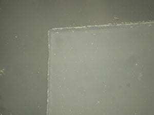 在使用 ASTM G21 进行测试后,经 Ultra-Fresh 抗菌添加剂处理的透明塑料仍未出现真菌滋生。 经 Ultra-Fresh 抗菌母料处理后的塑料