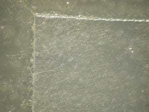 使用 ASTM G21 进行测试后,未经处理的透明塑料成为真菌滋生的温床。 未经处理的透明塑料经检测后出现真菌滋生