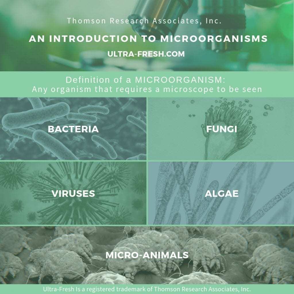 什么是微生物？