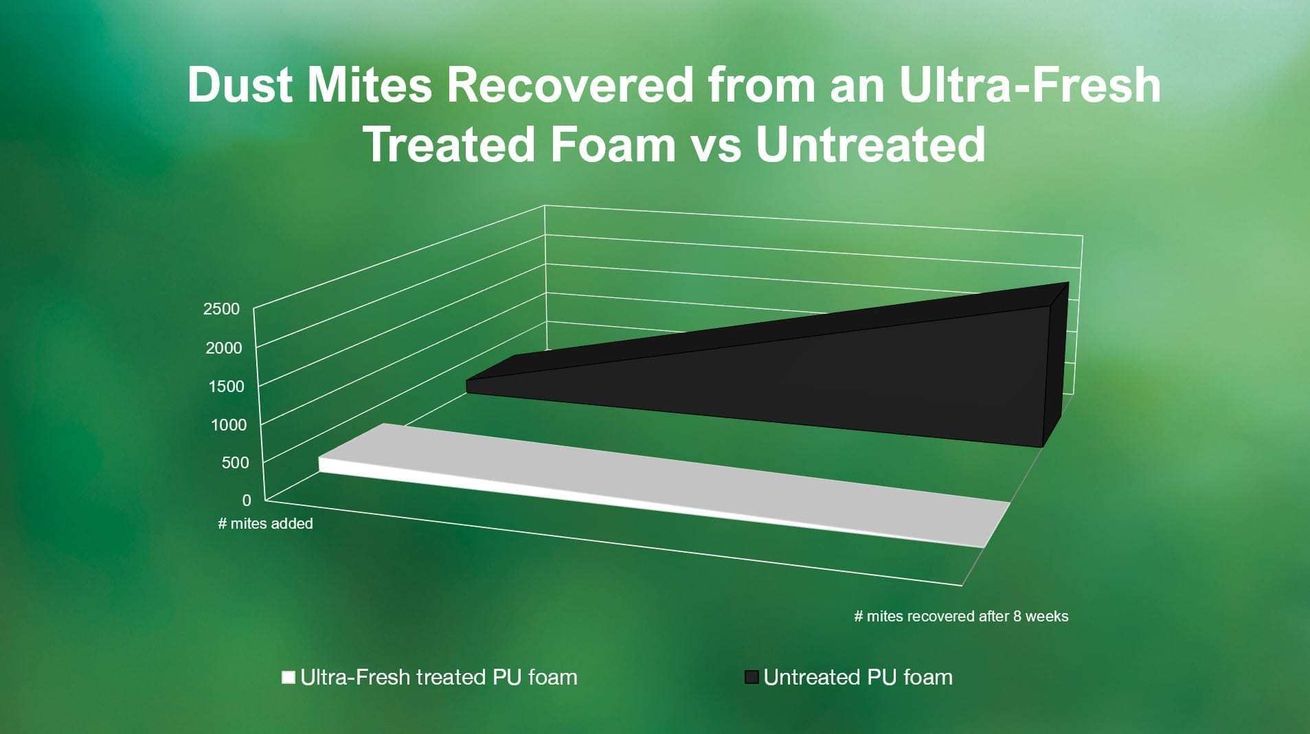 从床垫泡棉中发现的尘螨