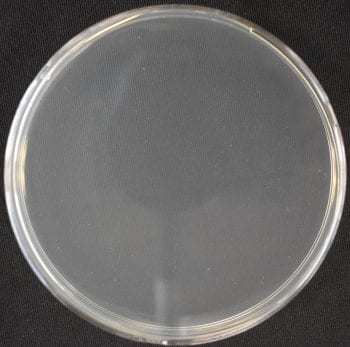 储水罐不含细菌