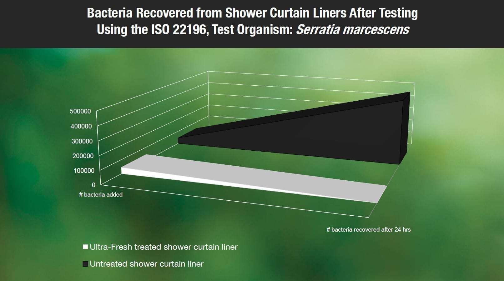 浴室里的粉色霉菌
