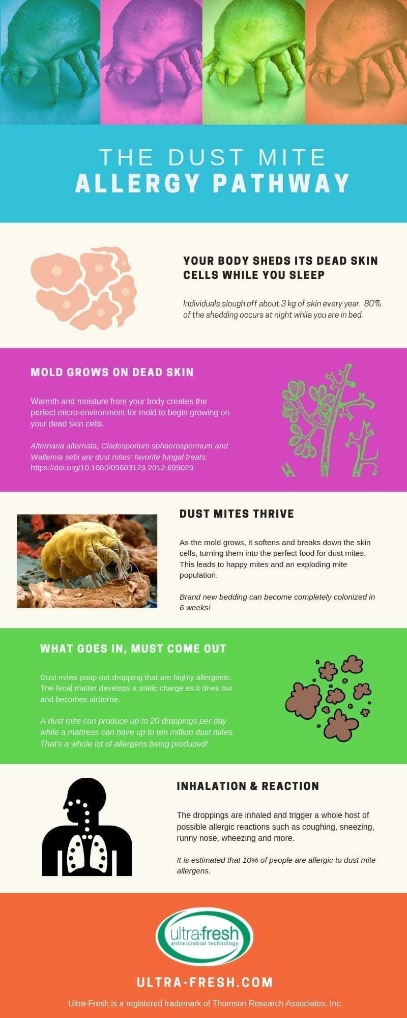 尘螨过敏相关链接