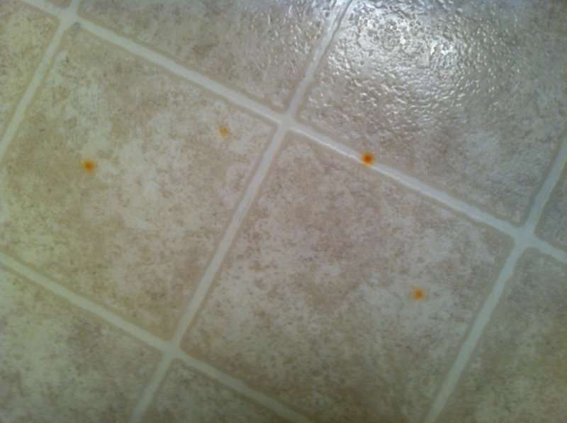 被细菌染色的油毡地板