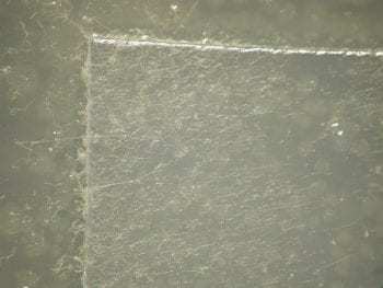 有霉菌生长的塑料